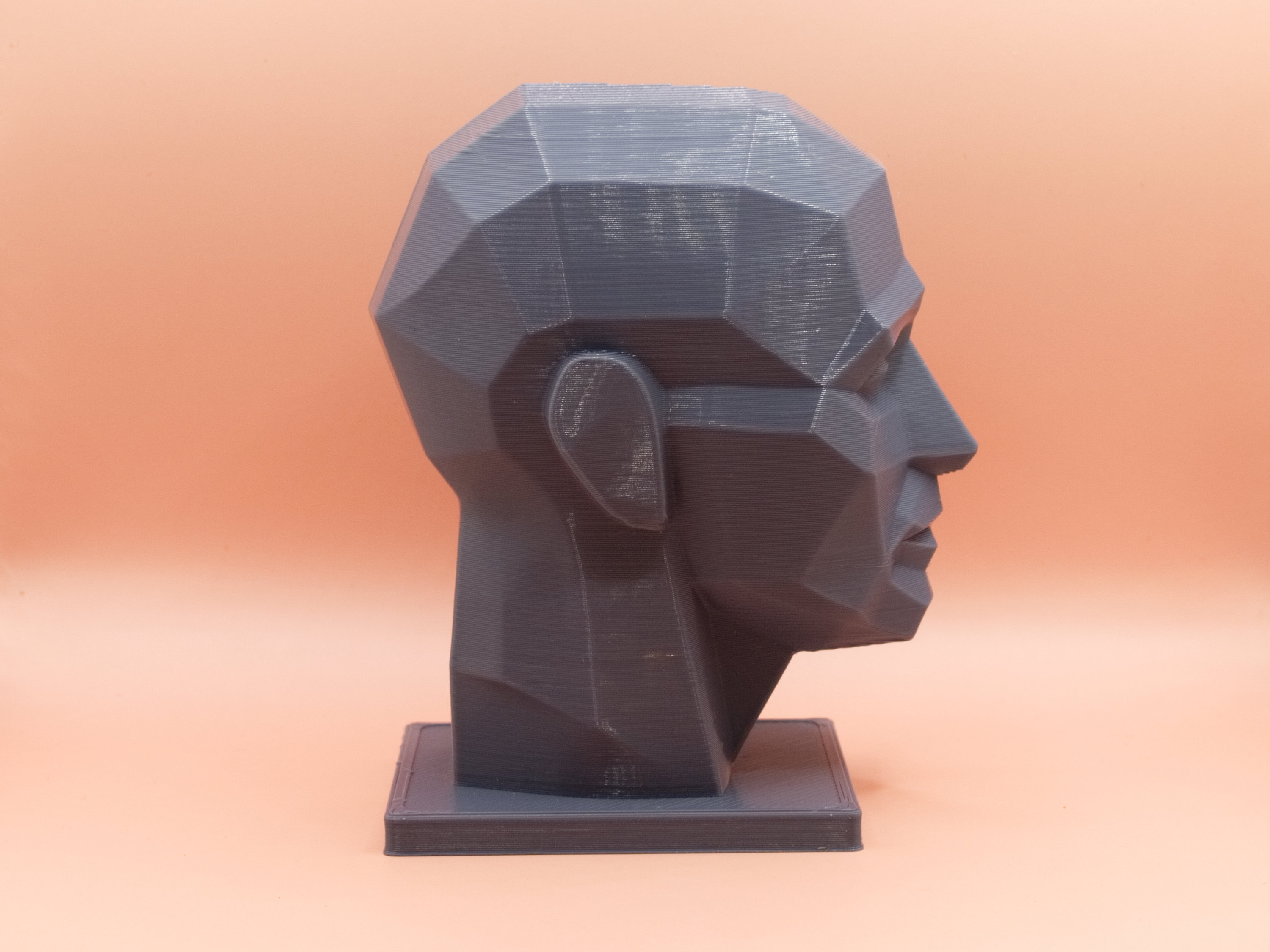 Planar Head Portrait Drawing Sculpting Aid Planar Bust Etsy Ireland