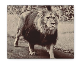 Lion Canvas Print, Neutral Sepia Tone, Small Animal Wall Art (10x8)