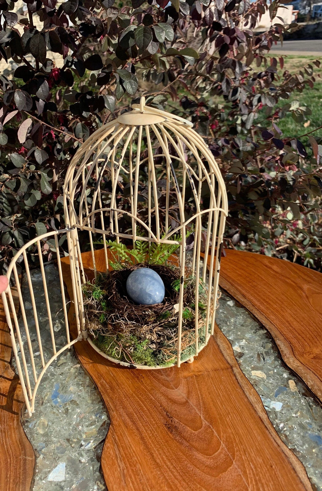 Yellow Bird Cage Terrarium With Blue Calcite Egg Etsy