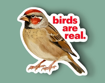 May include: A brown and white bird with a red head and the text "birds are real." printed on a white background.