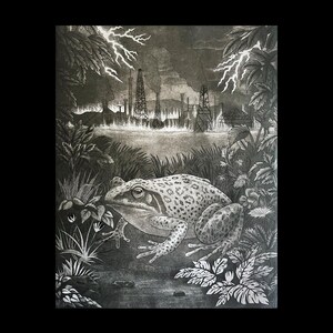 May include: Black and white illustration of a frog with a spotted pattern, set against a backdrop of industrial structures and lightning. Lush foliage frames the scene, creating a contrast between nature and industry.