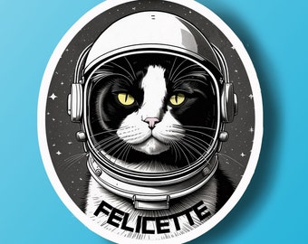 Felicette Space Cat Sticker, Cat Lover gift, Water bottle sticker, laptop stickers, animal sticker, nerd stickers, space art, gifts under 10