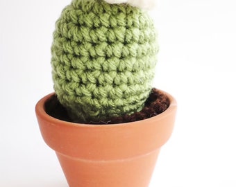 Crochet Cactus Amigurumi Plant