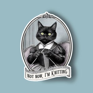 Puede incluir: Un gato negro con un collar blanco y un vestido negro está tejiendo con dos agujas. El gato está sentado en una silla con un cojín rosa. La imagen está enmarcada en un marco ovalado negro con un diseño decorativo. El texto "NOT NOW, I'M KNITTING" está escrito en una pancarta blanca debajo del marco.