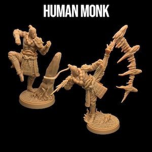 Human Monk | Masters of the Elements - Dragon Trappers Lodge | D&D | TTRPG | High-Resolution Resin