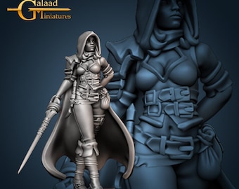 Cuervo, Pícaro Humano / En la Mazmorra - Galaad Miniatures / D&D / TTRPG / Resina de Alta Resolución