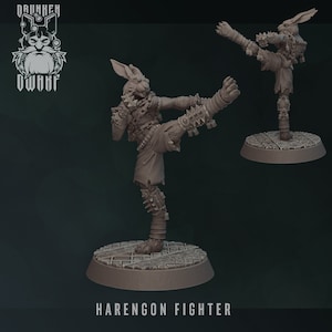 Harengon Fighter | Elephants and Hares - Drunken Dwarf | 12K High Detail Resin