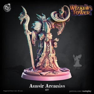 Aussir Arcaniss, Human Wizard | Wizard's Tower - Cast n Play | D&D | TTRPG | High-Resolution Resin