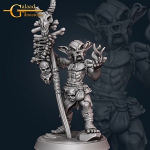 Goblin Shaman | Goblins and Slayers - Galaad Miniatures | D&D | TTRPG | High-Resolution Resin