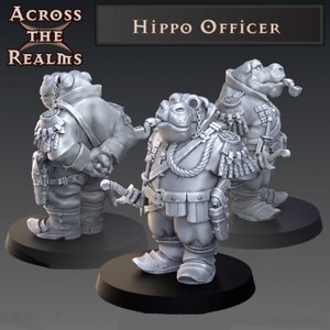 Hippo Officer | Mercenaries of the Multiverse - Across the Realms | 12K High Detail Resin