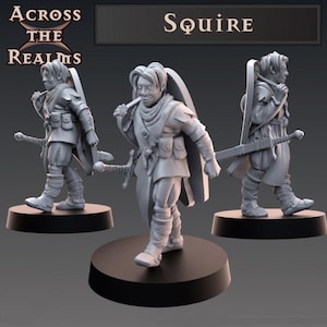 Squire | Essential NPCs - Across the Realms | 12K High Detail Resin
