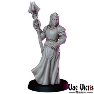 High Priestess | Clerics - Vae Victis Miniatures | High Resolution Resin