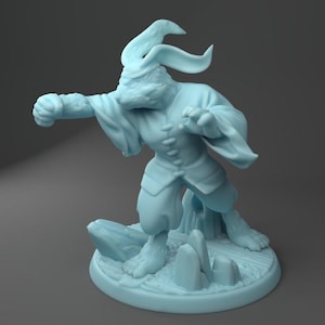 Bun-Lee, Rabbitfolk Monk | Twin Goddess Miniatures | D&D | TTRPG | High-Resolution Resin