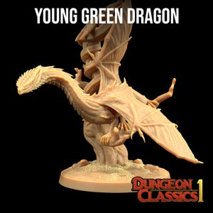 Young Green Dragon | Dungeon Classics 1 - Dragon Trapper&#39;s Lodge | D&D | TTRPG | High-Resolution Resin