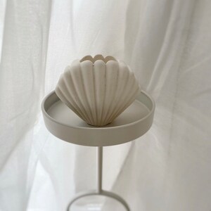 Könnte beinhalten: Ein weißer Keramik-Blumentopf in Muschelform auf einem weißen Sockel. Der Topf hat eine gerippte Textur und ist perfekt für die Präsentation kleiner Pflanzen oder Sukkulenten.