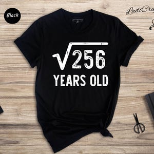 16th Birthday Math Shirt: Square Root 256 Graphic Tee, Sweet Sixteen Celebration (Cotton, Multiple Sizes)