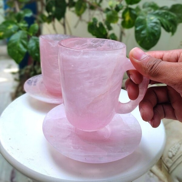 Pink Rose Tea Cup Etsy