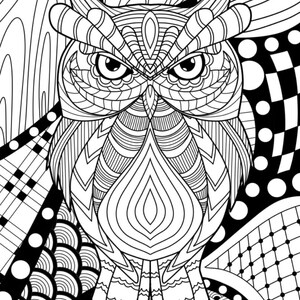 Intricate zen tangle colouring pages x20