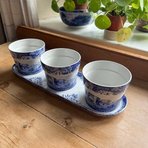 May include: Three blue and white ceramic planter pots with a matching tray. The pots have a floral design and a blue and white pattern.