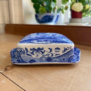 May include: A rectangular ceramic butter dish featuring a white base with intricate blue floral and botanical patterns. The lid has a matching blue and white scene with detailed illustrations of foliage and flowers, creating a cohesive design.