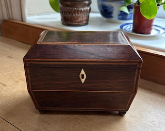 Regency tea caddy, England antique c1810 early 19th C of two-division form in rosewood, lined with interior lids on four brass feet W18.5cm