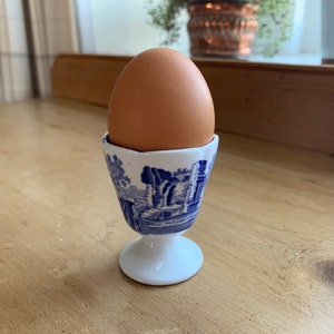 May include: A brown egg in a blue and white egg cup with a floral design.