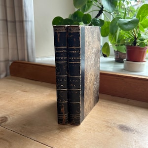 Cartas da França em 1802 por Henry York, pub., Symonds, Londres, livros antigos encadernados em couro georgiano de 1804 em dois volumes, ilustrados