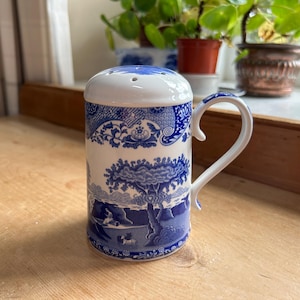 May include: A white and blue ceramic salt shaker with a handle. The shaker features a blue and white landscape design with a handle. The top has several holes for dispensing salt. The handle is curved.