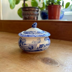 Op de afbeelding: Een kleine, witte suikerpot van keramiek met een blauw en wit bloemenpatroon. De pot heeft een deksel en is versierd met een scène van een landelijk huisje en mensen.