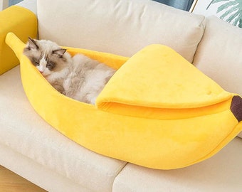 cat cushion bed