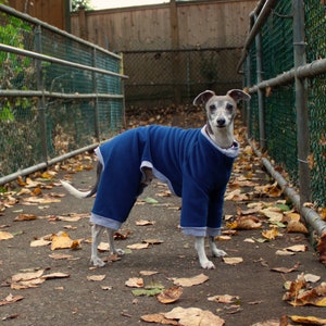 Dog Pajamas Sewing Pattern PDF Download Size XL Large Dog Breed Clothing Pattern, Big Dog, Greyhound, Pittbul, Dog Onesie, After Surgery image 2