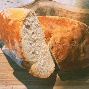 Artisan French Bread Recipe