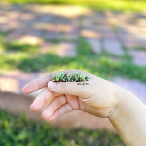 Miniatur Schildkröte, ready made, microcrochet, handgemachtes Geschenk, Puppenhausminiatur