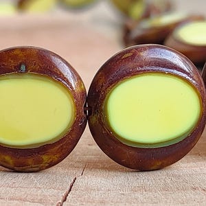 Op de afbeelding: Close-up van verschillende bruine en gele kralen. Elke kraal is rond met een lichtgeel ovaal midden en een donkerbruine buitenring. De kralen zijn gerangschikt op een houten oppervlak.