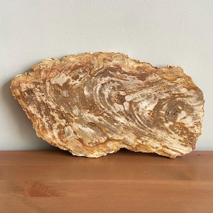 Vintage ＊ petrified wood tray Petrified Wood Tray - Etsy Canada