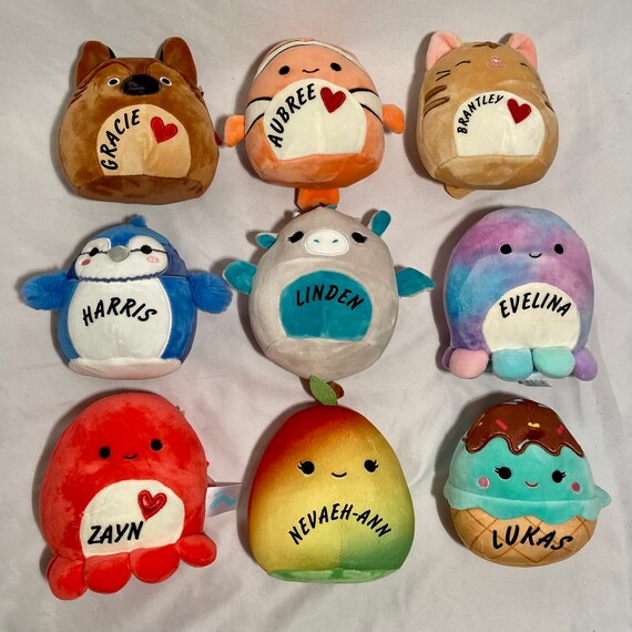 Customized Squishmallows 5in Large 