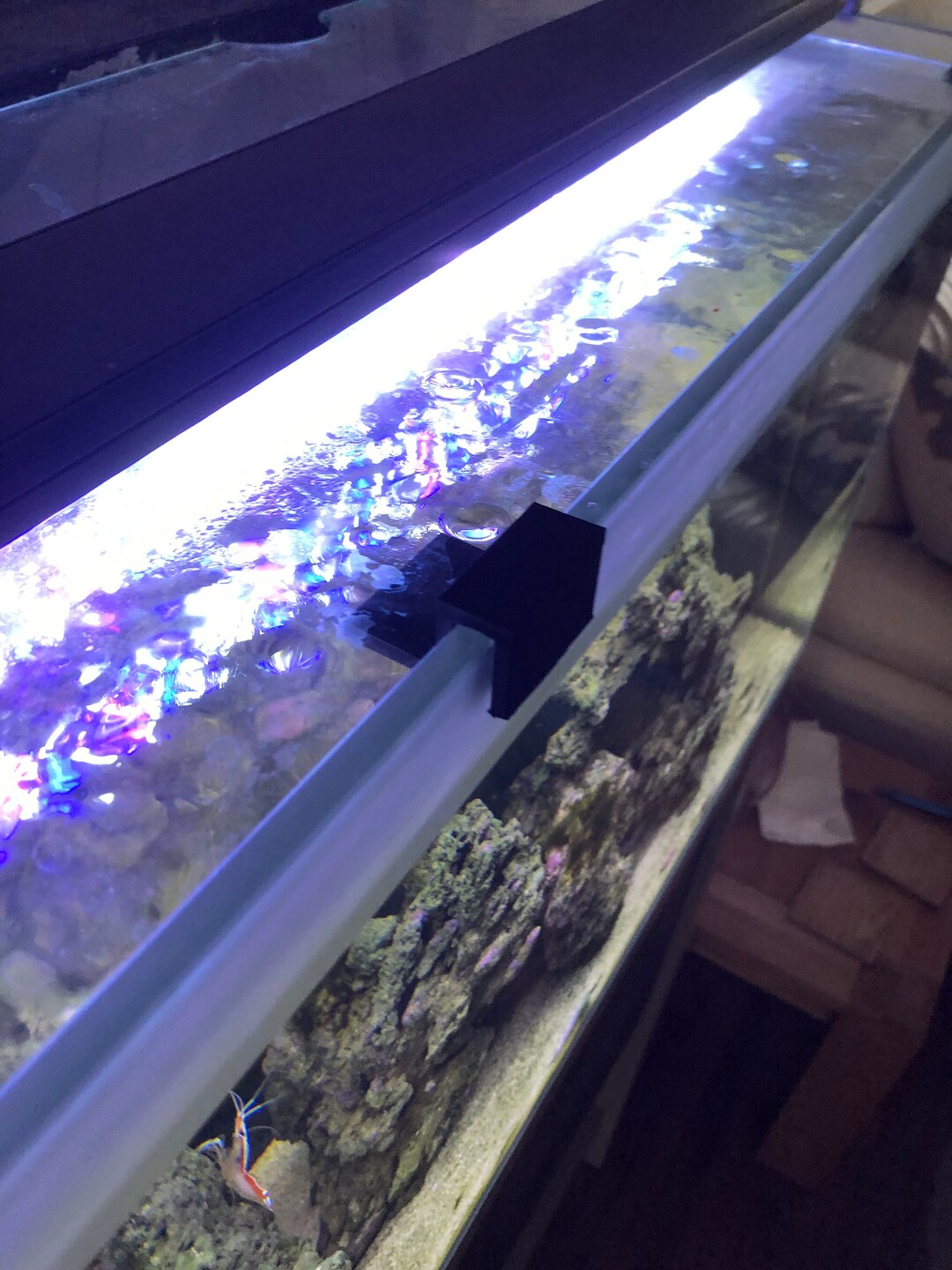 Aquarium glass top Clearance