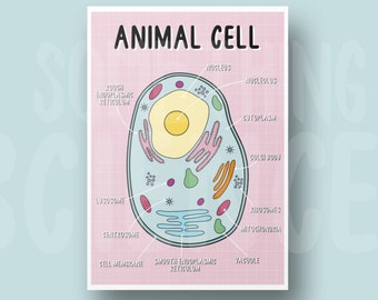 Microbiology Poster - Etsy UK Microbiology Poster - Etsy UK
