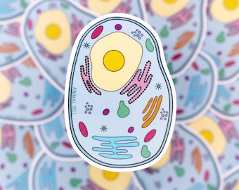 Animal Cell Waterproof Sticker - Biology, Cell Biology, Gift for Biologist, Microbiology, Stickers for Students, STEM, Laptop Sticker