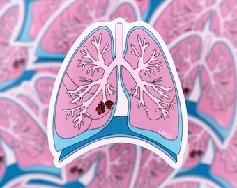 Lungs Anatomy Waterproof Sticker - Biology, Respiratory System, Gift for Biologist, Student Gift, Stickers for Students, STEM, Anatomy
