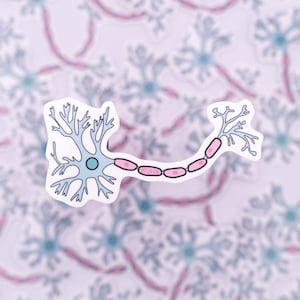 Neuron Waterproof Sticker - Psychology, Neurology, Gift for Psychologist, Stickers for Students, STEM, Laptop Sticker, Neurobiology, Brain