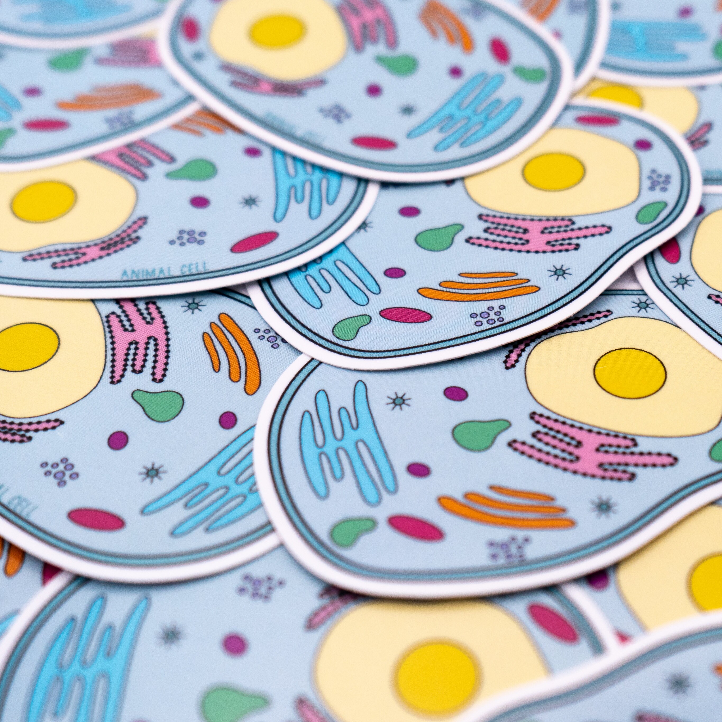 Animal Cell Waterproof Sticker - Biology, Cell Biology, Gift for ...