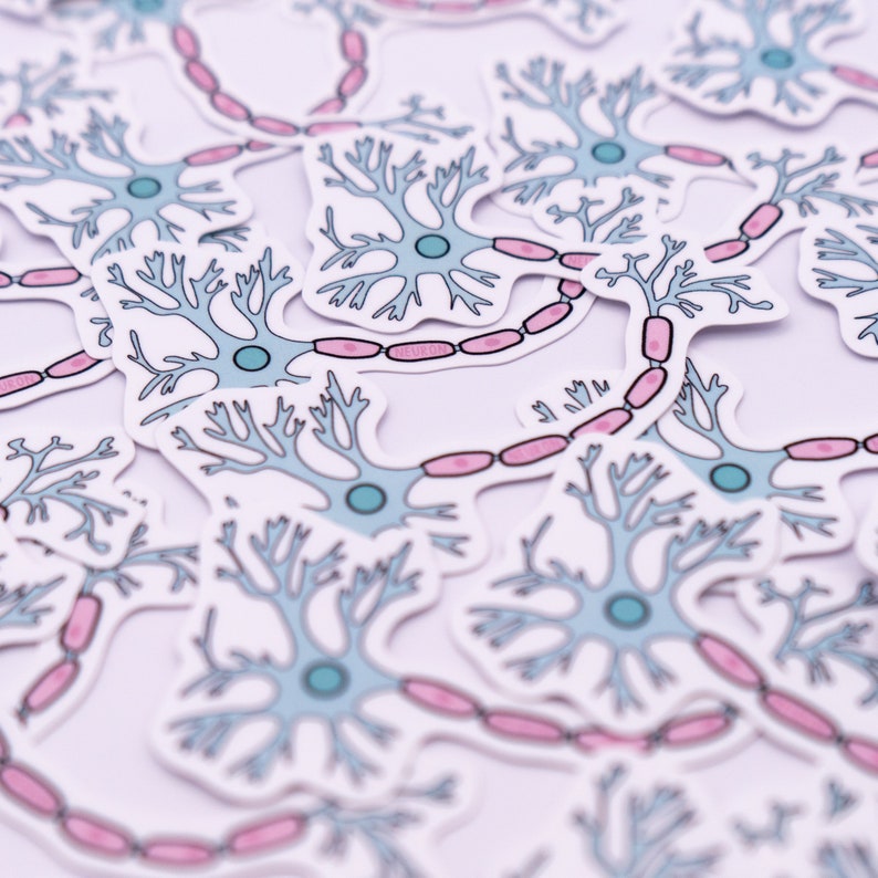 Neurology Sticker Neuron Waterproof Sticker - Psychology, Neurology, Gift for ...