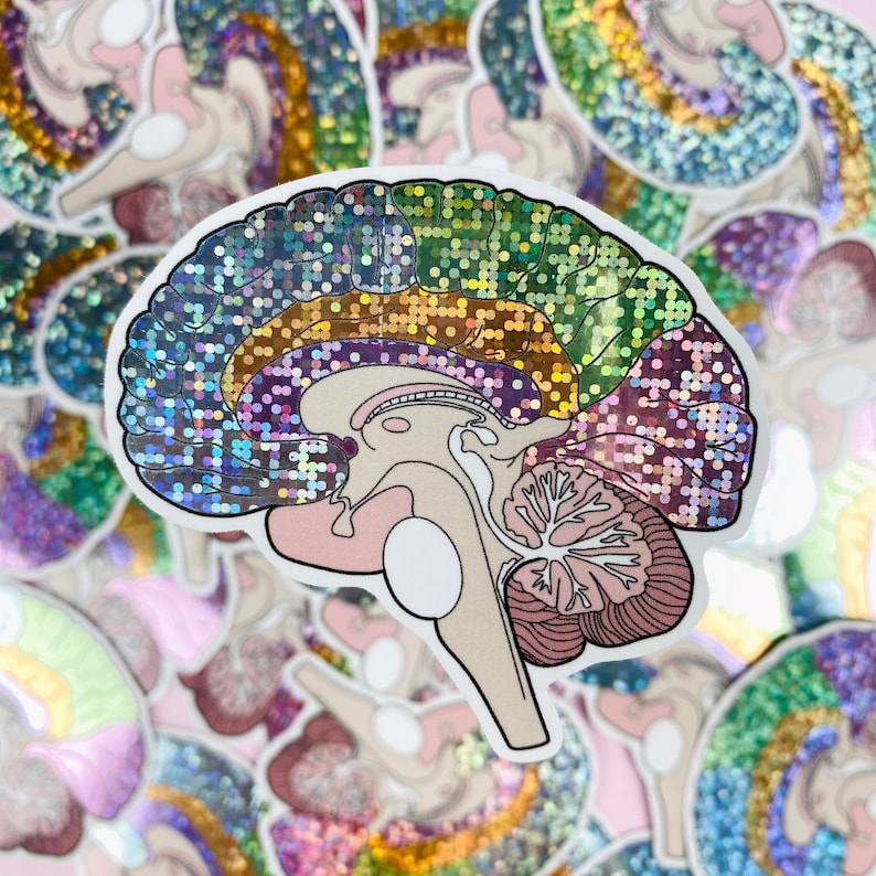 Glitter Medial Brain Diagram Sticker - Psychology Sticker, Neurology ...