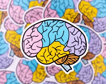 Brain Waterproof Sticker - Psychology, Neurology, Gift for Psychologist, Stickers for Students, STEM, Laptop Sticker, Anatomy, Lateral Brain