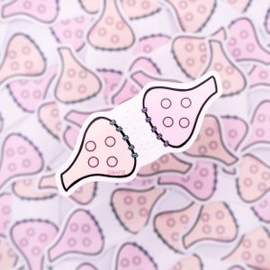 May include: A pink and white sticker with a cartoon illustration of a synapse. The synapse is labeled "SYNAPSE" and has a dotted line in the middle. The sticker is surrounded by other stickers.