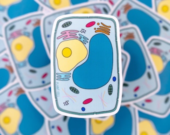 Plant Cell Waterproof Sticker - Biology, Cell Biology, Gift for Biologist, Microbiology, Stickers for Students, STEM, Laptop Sticker