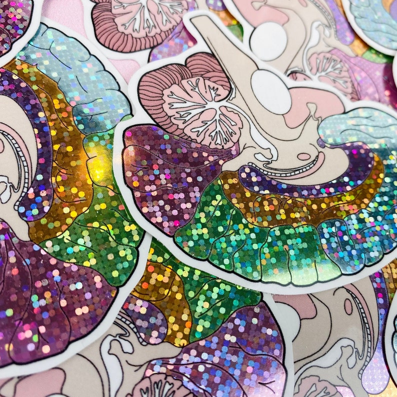 Glitter Medial Brain Diagram Sticker - Psychology Sticker, Neurology ...
