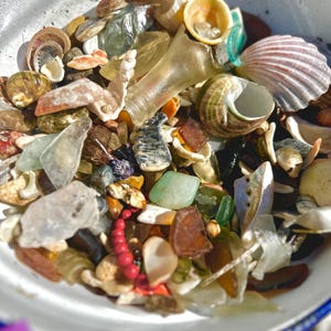 Blandning av australiska snäckskal och glaskonfetti: Fynd från strandnördar (2 kg)