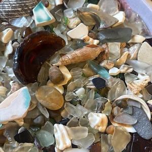 May include: A collection of sea glass and seashells in various colours and shapes, including clear, brown, green, and blue glass, and white, brown, and tan shells.